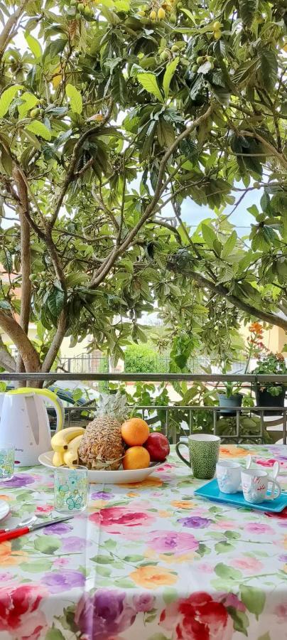 Casa Dei Giunchi Otel Olbia Dış mekan fotoğraf